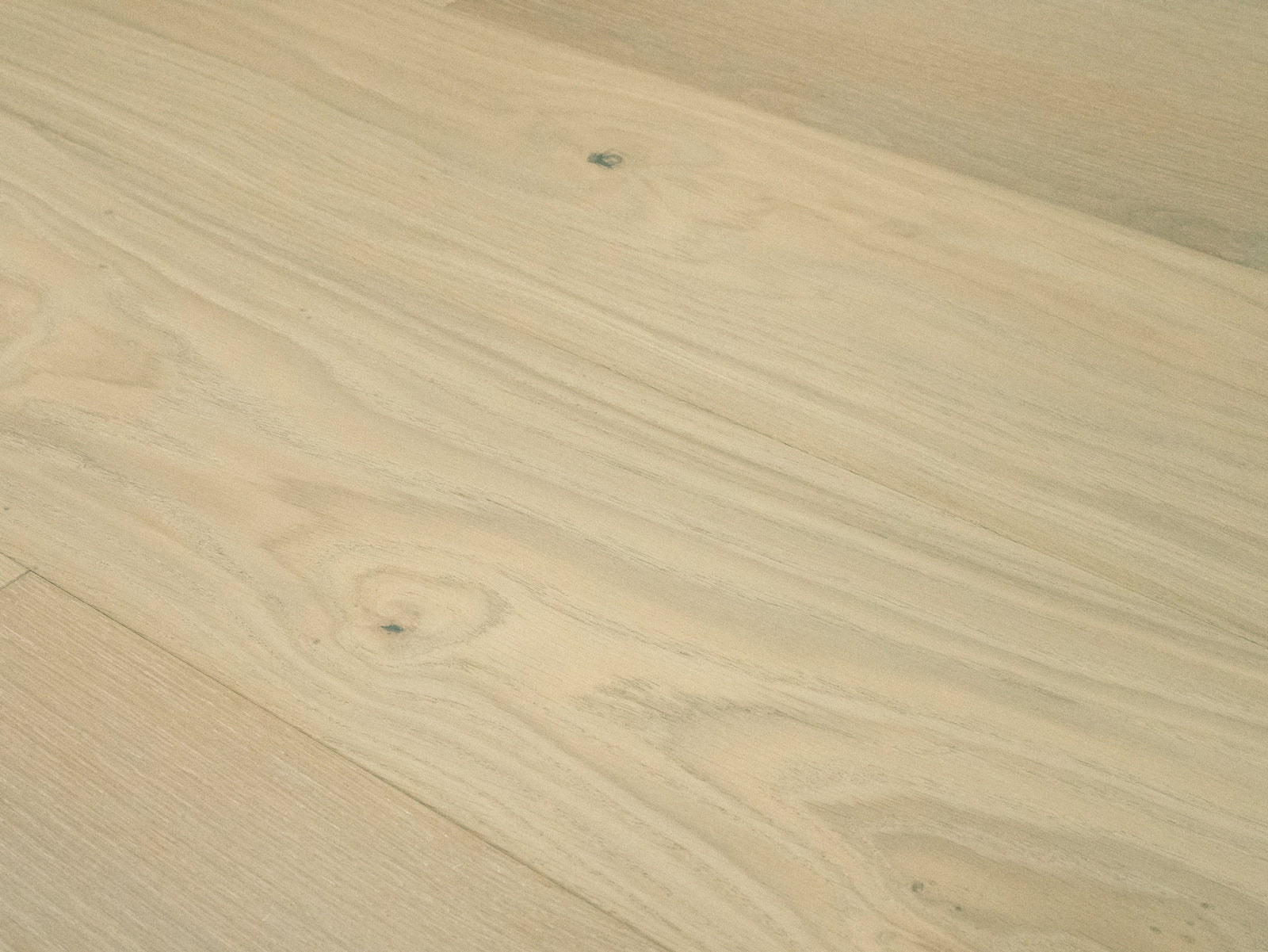 Terreno EURO OAK SESIA
