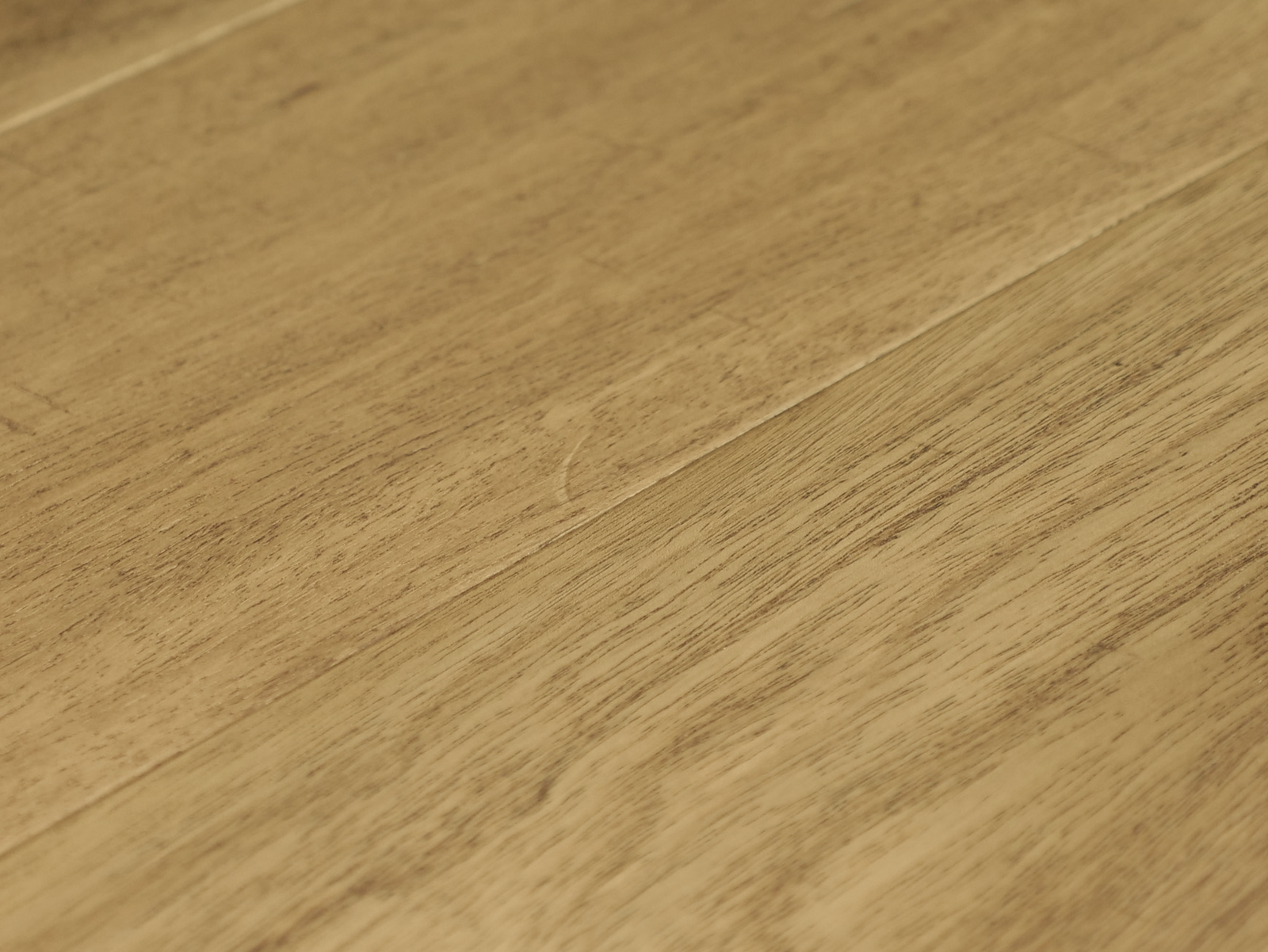 Castillo ARBOREA MIRADOR