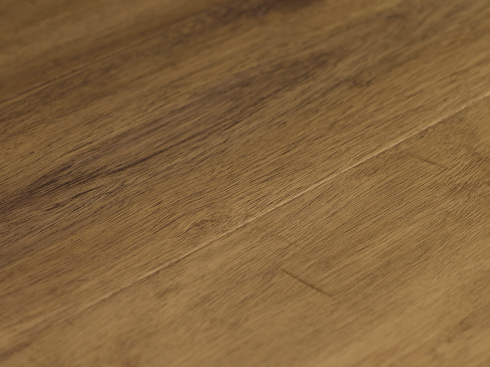 Castillo ARBOREA TULUM